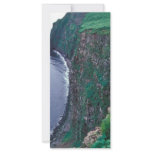 St. George Island, Population plot 39, Pribilof Is Customized Rack Card
