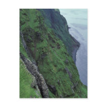 St. George Island, Pribilofs, High Bluffs Post Cards