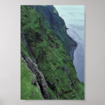 St. George Island, Pribilofs, High Bluffs Print