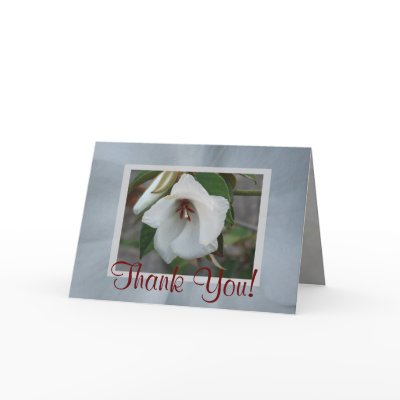 St.Helena Card by ggbythebay