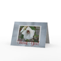 St.Helena cards