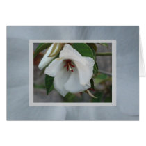 St.Helena cards