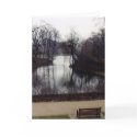 St. James Park cards