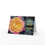 St. Joseph Coat's Rose Card