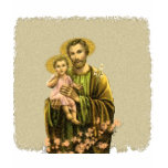 St Joseph Novena T Shirts