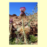 St. Katherine Thistle Print posters