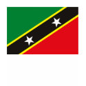St. Kitts and Nevis Flag T-shirt
