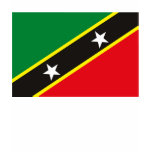 St. Kitts and Nevis Flag T-shirt