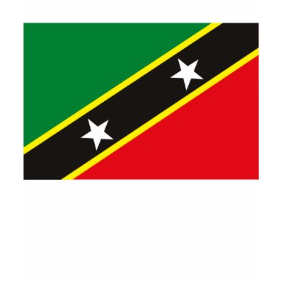 St. Kitts and Nevis Flag T-shirt by FlagTshirts