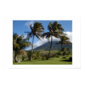 St. Kitts Plantation posters by pcelias St. Kitts Plantation posters