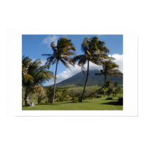 St. Kitts  Plantation posters