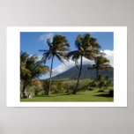 St. Kitts  Plantation posters