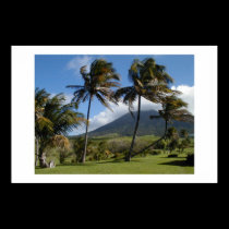 St. Kitts  Plantation posters