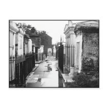 St. Louis Cemetery No. 1 Postcard