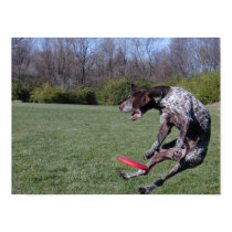 St. Louis Disc Dog Club - Founder posters