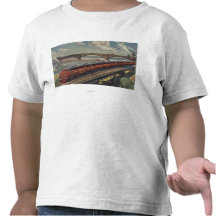 St. Louis, Missouri Shirts