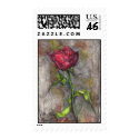 St. Louis Rose Postage postage