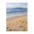 pigeon, island, reduit, beach, lucia, footprints,