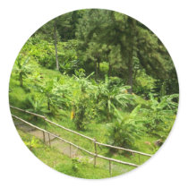 St. Lucia Rainforest stickers by cindywatson1 St. Lucia Rainforest stickers