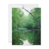 St. Marks River invitations by JMGNole St. Marks River invitations