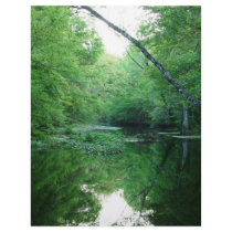 St. Marks River Letterhead Template