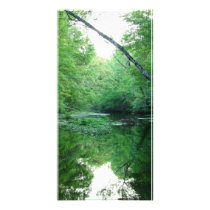 St. Marks River Photo Card