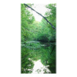 St. Marks River Photo Card
