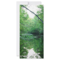 St. Marks River Rack Card Design