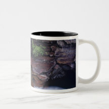 St Mary Falls in Glacier National Park in Mugs