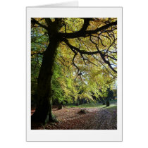 St Mary the Virgin Graveyard Greeting Card