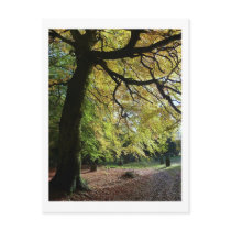 St Mary the Virgin Graveyard Post Cards