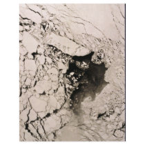 St. Matthew Island Satellite image, Bering Sea flyers by animalpark St. Matthew Island Satellite image, Bering Sea flyers