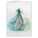 St Maure cards by tartinegourmande St Maure cards