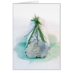 St Maure Cards