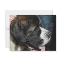 St. Nernard Personalized Invitations