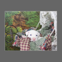 St. Paddy's Day Puppy postcards