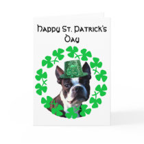 St Patrick's Day Boston Terrier greeting card