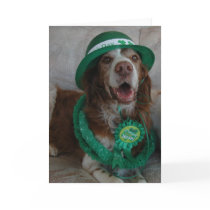 ST PATRICK'S DAY BRITTANY cards