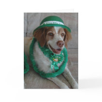 ST. PATRICKS DAY BRITTANY cards