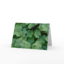St. Patrick's Day Card by Gilliand_Photo St. Patrick's Day Card