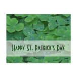 St. Patricks Day Collection Postcard