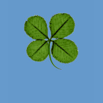 St. Patrick's Day Four Leaf Clover t-shirts by voodoomama St. Patrick's Day Four Leaf Clover t-shirts