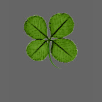 St. Patrick's Day Four Leaf Clover t-shirts