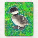 St. Patrick's Day Goose St. Patrick's Day Goose