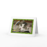 St. Patrick's Day Gracey Cards