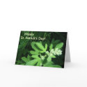 St. Patrick's Day Green Plant cards by ebroskie1234 St. Patrick's Day Green Plant cards