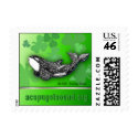 St. Patrick's Day killer whale postage stamp
