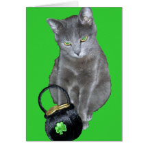 St. Patrick's Day kitten card