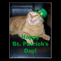 St Patrick's Day Leprechaun Cat Postcard postcards