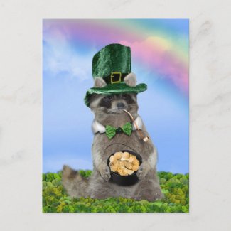St Patrick's Day - Lucky Raccoon postcard